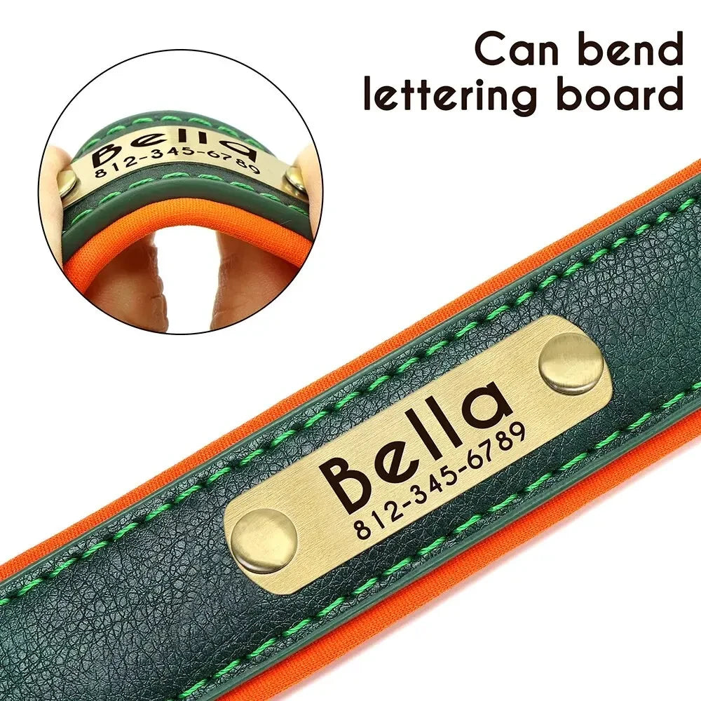 Custom Leather ID Dog Collar