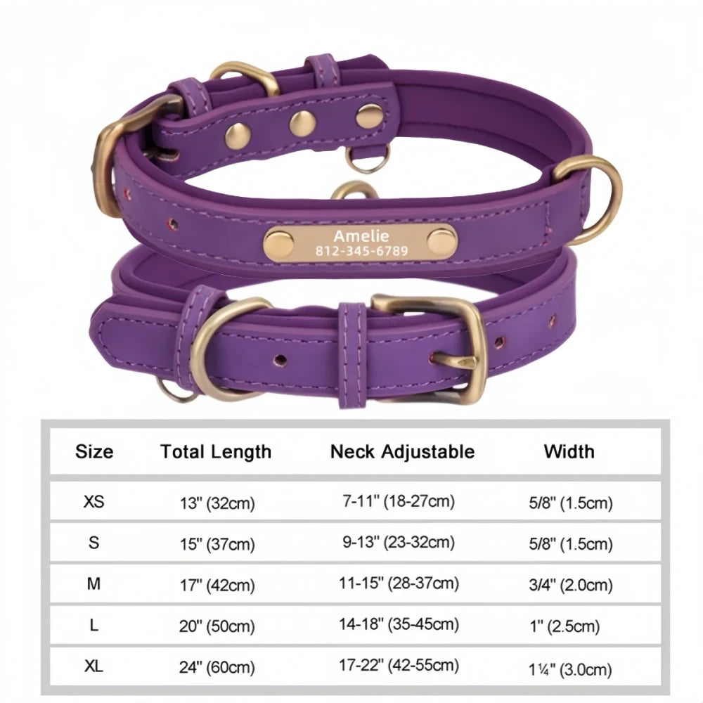 Custom Leather ID Dog Collar