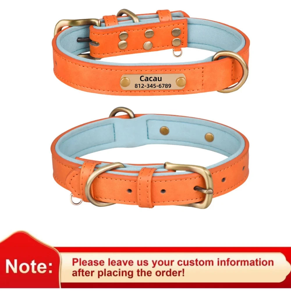 Custom Leather ID Dog Collar