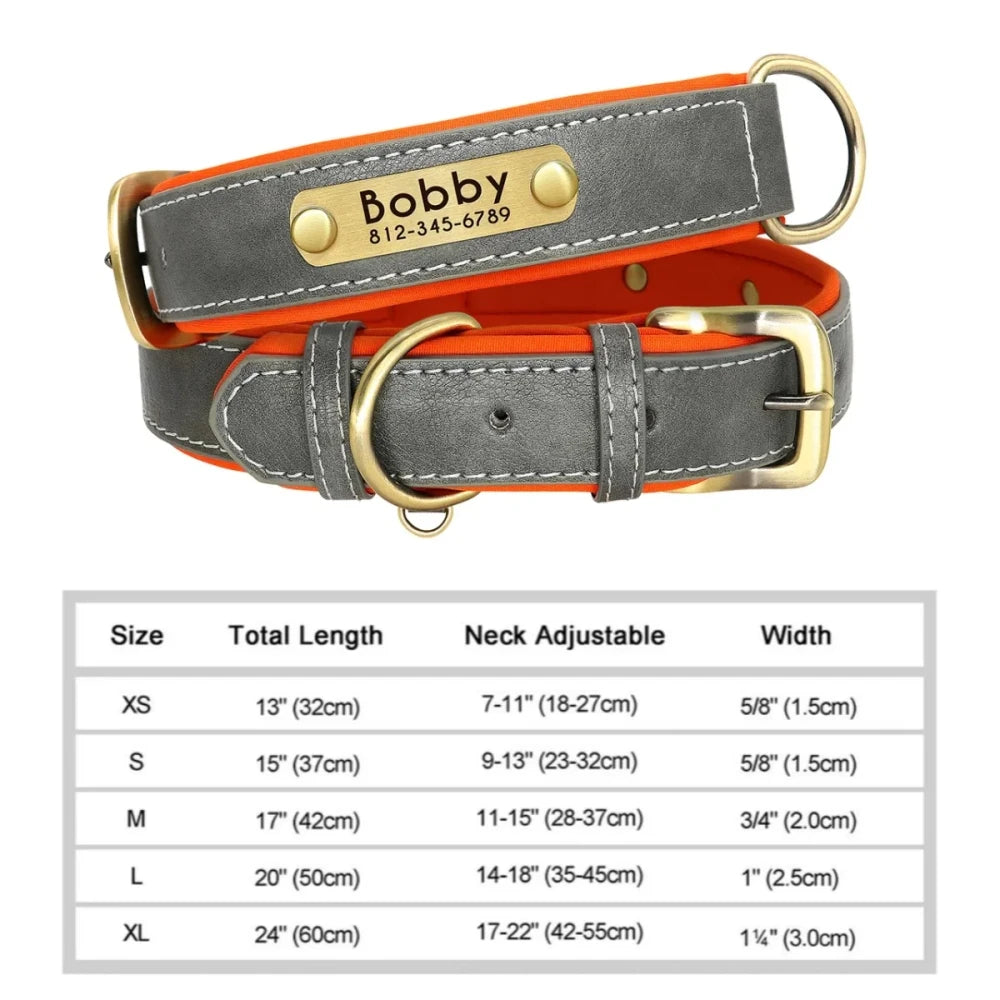 Custom Leather ID Dog Collar