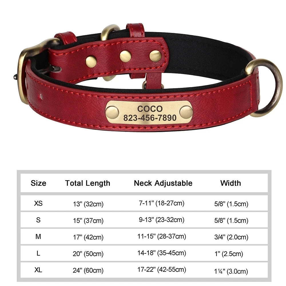 Custom Leather ID Dog Collar