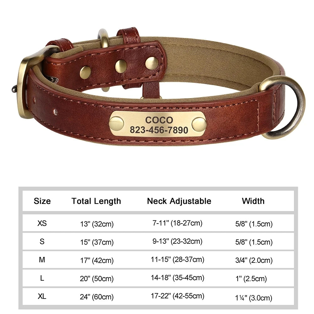 Custom Leather ID Dog Collar