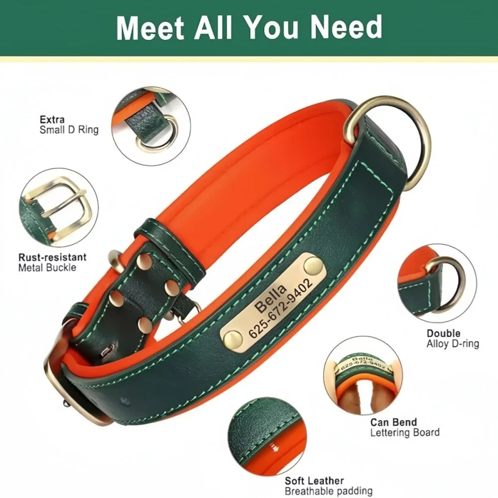 Custom Leather ID Dog Collar