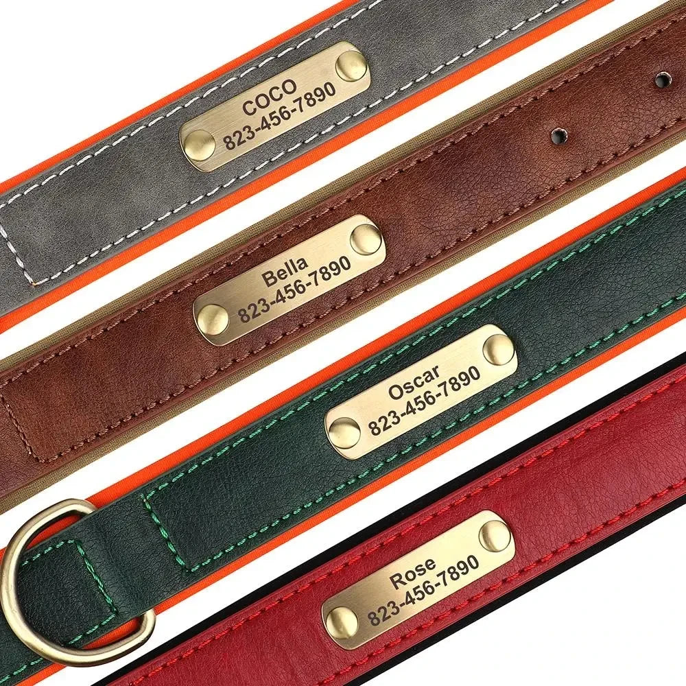 Custom Leather ID Dog Collar