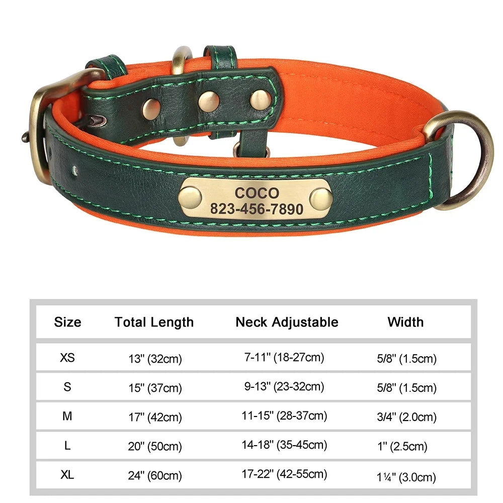 Custom Leather ID Dog Collar