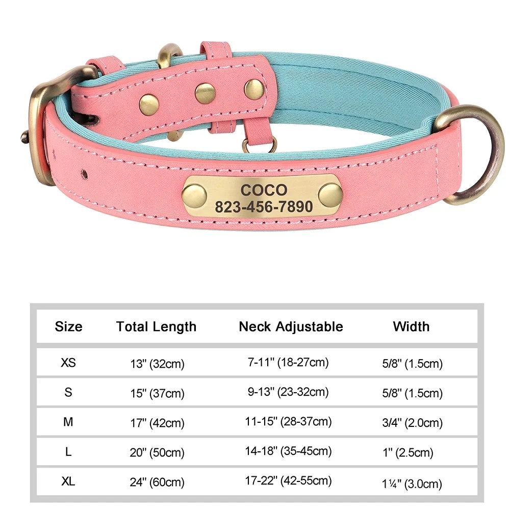Custom Leather ID Dog Collar