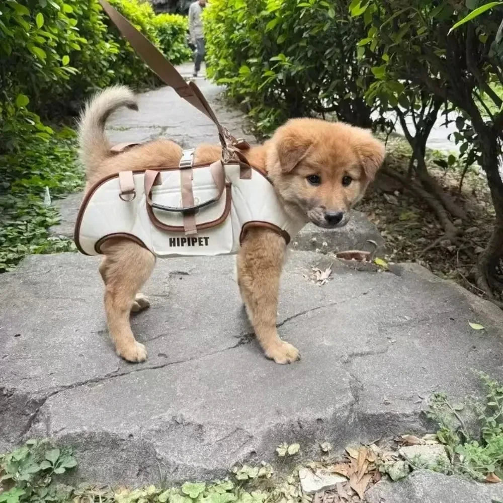 Portable Pet Backpack