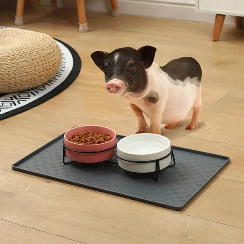 Silicone material dog drinking water and eating mat cat mat pet mat waterproof wear-resistant durable easy to clean pet supplies