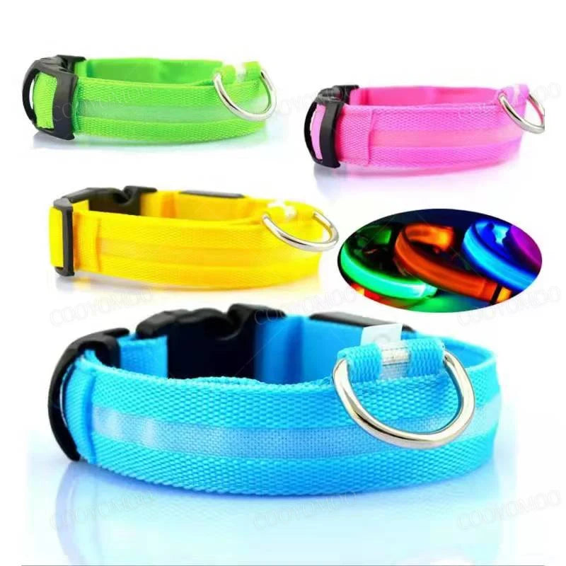 Rechargeable LED Dog Collar
