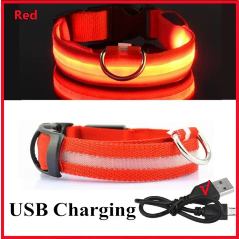 Rechargeable LED Dog Collar