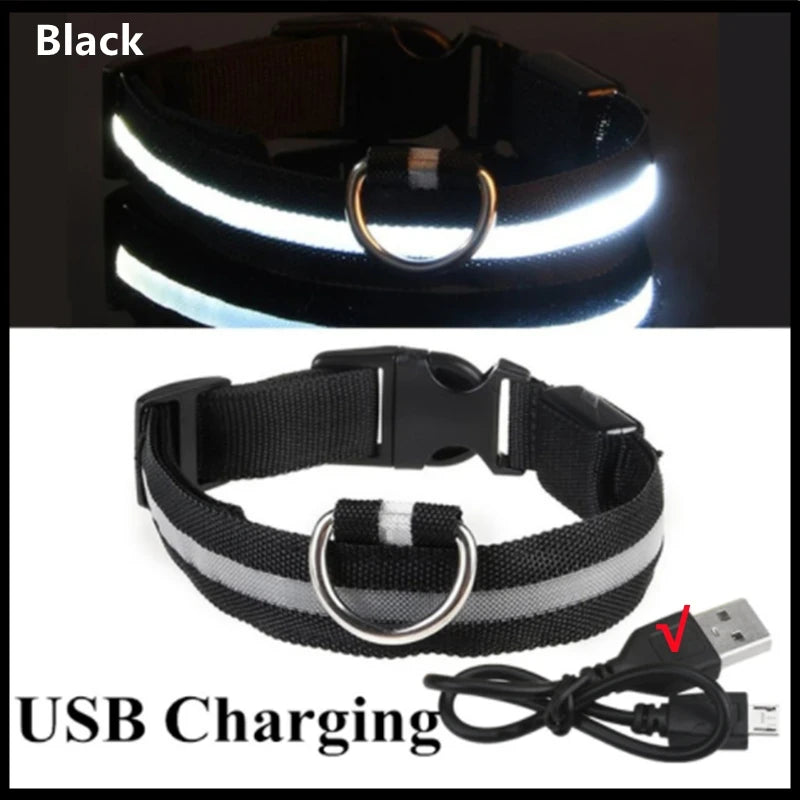 Rechargeable LED Dog Collar